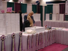 CFA Nationals 2002 - Houston, Texas