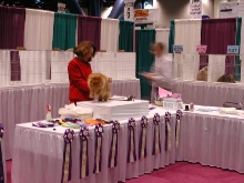 CFA Nationals 2002 - Houston, Texas