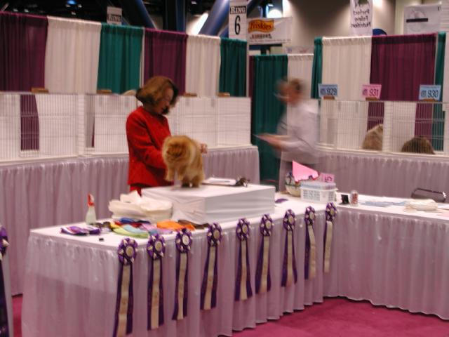 CFA Nationals 2002 - Houston, Texas