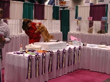 CFA Nationals 2002 - Houston, Texas