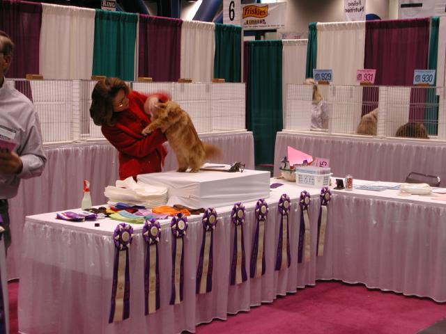 CFA Nationals 2002 - Houston, Texas