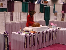 CFA Nationals 2002 - Houston, Texas