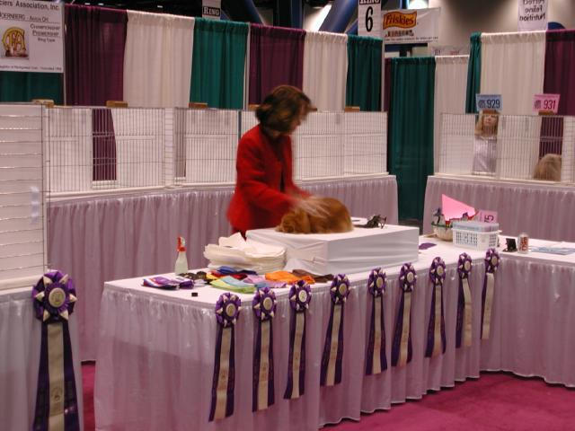 CFA Nationals 2002 - Houston, Texas