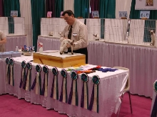 CFA Nationals 2002 - Houston, Texas