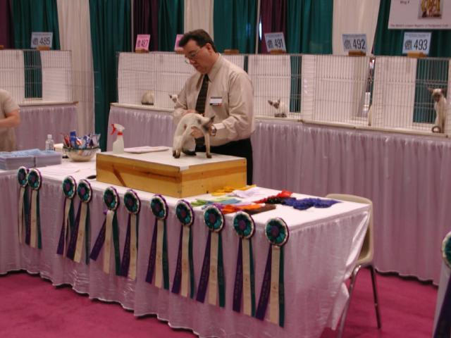 CFA Nationals 2002 - Houston, Texas