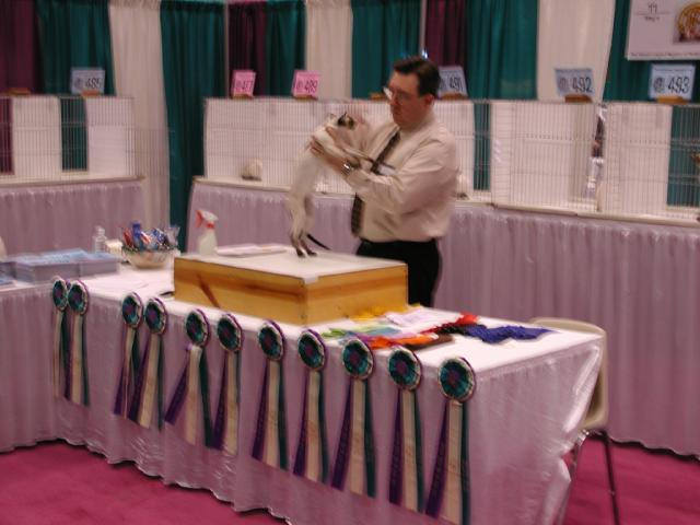 CFA Nationals 2002 - Houston, Texas