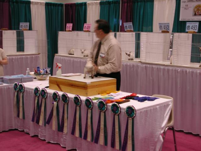 CFA Nationals 2002 - Houston, Texas