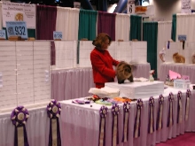CFA Nationals 2002 - Houston, Texas