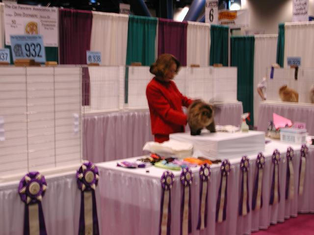 CFA Nationals 2002 - Houston, Texas