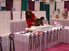 CFA Nationals 2002 - Houston, Texas