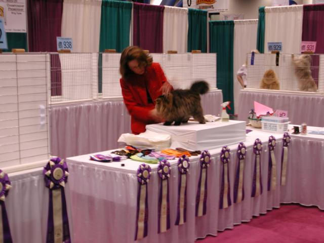 CFA Nationals 2002 - Houston, Texas