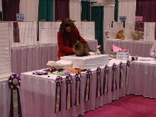 CFA Nationals 2002 - Houston, Texas