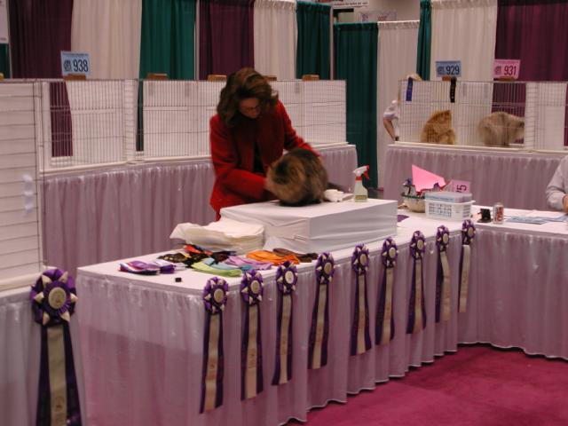 CFA Nationals 2002 - Houston, Texas