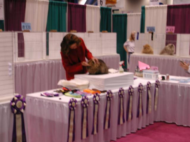CFA Nationals 2002 - Houston, Texas