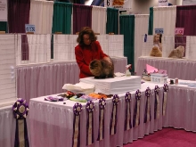 CFA Nationals 2002 - Houston, Texas