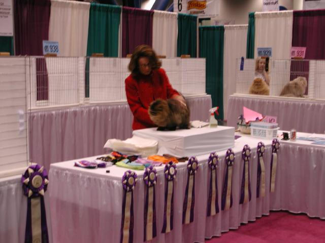 CFA Nationals 2002 - Houston, Texas