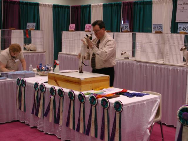 CFA Nationals 2002 - Houston, Texas