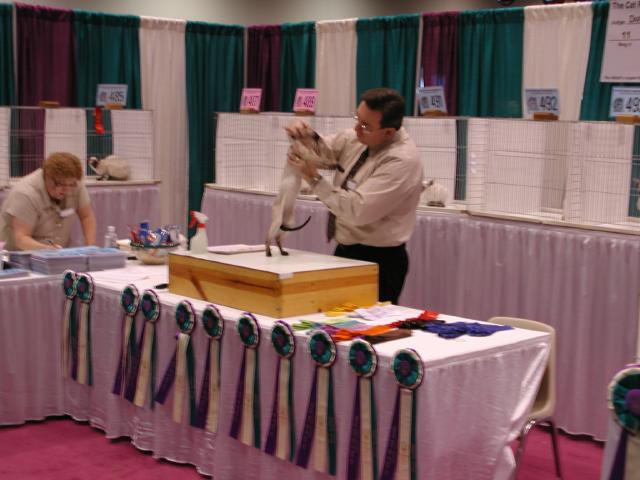 CFA Nationals 2002 - Houston, Texas