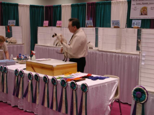 CFA Nationals 2002 - Houston, Texas