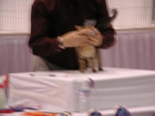 CFA Nationals 2002 - Houston, Texas