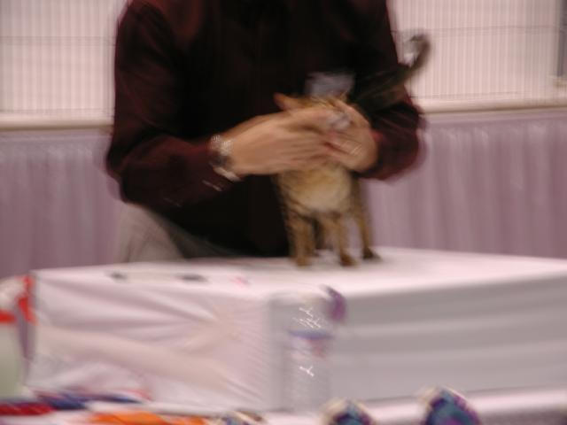 CFA Nationals 2002 - Houston, Texas