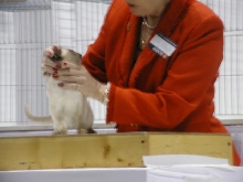CFA Nationals 2002 - Houston, Texas