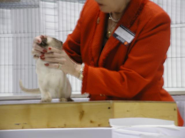 CFA Nationals 2002 - Houston, Texas