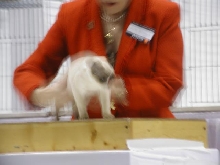CFA Nationals 2002 - Houston, Texas