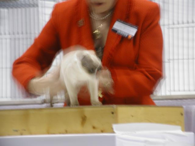 CFA Nationals 2002 - Houston, Texas