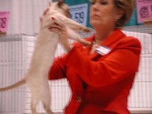 CFA Nationals 2002 - Houston, Texas