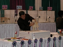 CFA Nationals 2002 - Houston, Texas