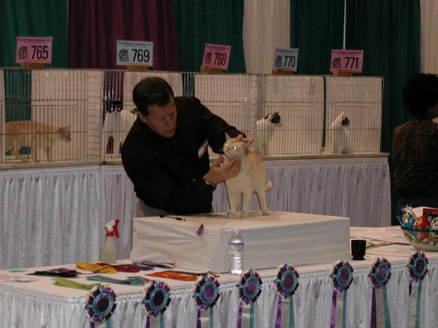 CFA Nationals 2002 - Houston, Texas