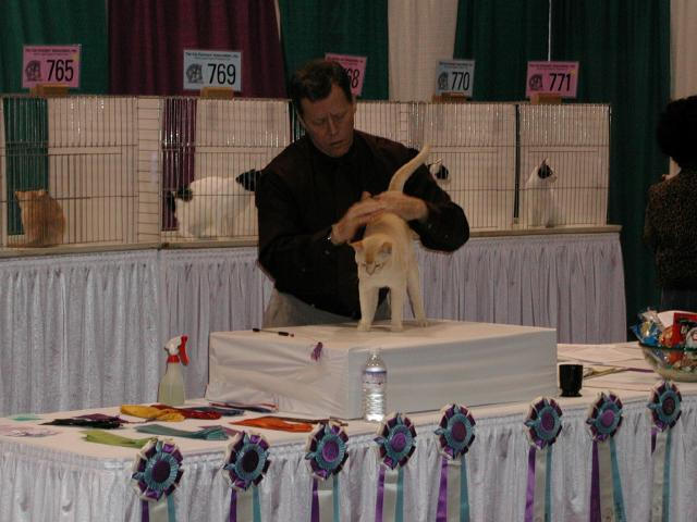 CFA Nationals 2002 - Houston, Texas