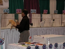 CFA Nationals 2002 - Houston, Texas