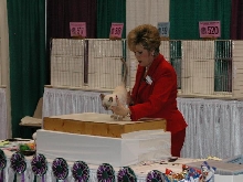 CFA Nationals 2002 - Houston, Texas