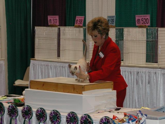 CFA Nationals 2002 - Houston, Texas