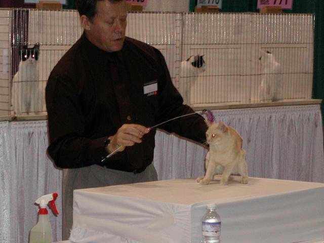CFA Nationals 2002 - Houston, Texas
