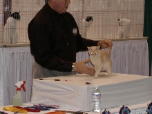 CFA Nationals 2002 - Houston, Texas
