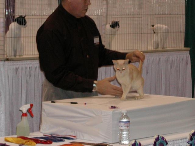 CFA Nationals 2002 - Houston, Texas