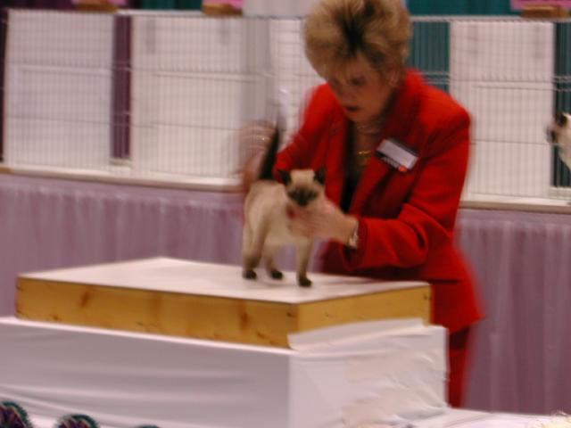 CFA Nationals 2002 - Houston, Texas
