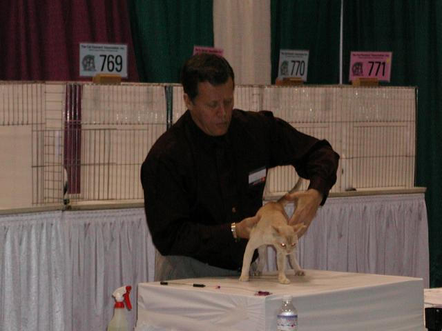 CFA Nationals 2002 - Houston, Texas