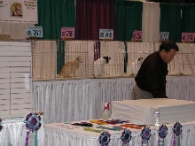 CFA Nationals 2002 - Houston, Texas