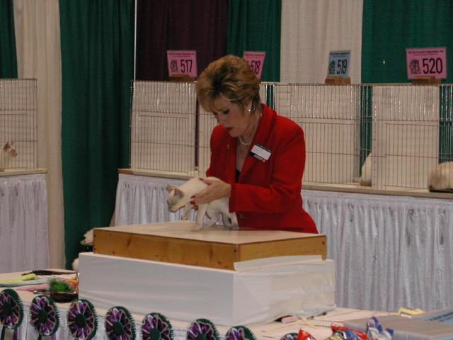 CFA Nationals 2002 - Houston, Texas