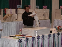 CFA Nationals 2002 - Houston, Texas