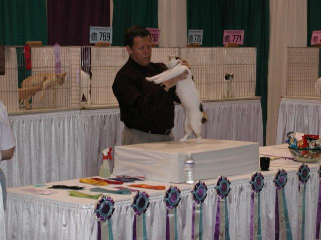 CFA Nationals 2002 - Houston, Texas