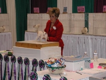 CFA Nationals 2002 - Houston, Texas