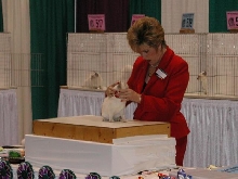 CFA Nationals 2002 - Houston, Texas