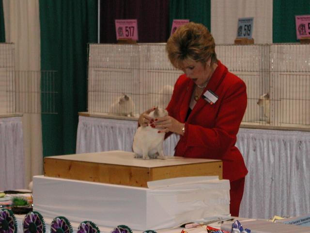 CFA Nationals 2002 - Houston, Texas