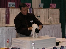 CFA Nationals 2002 - Houston, Texas