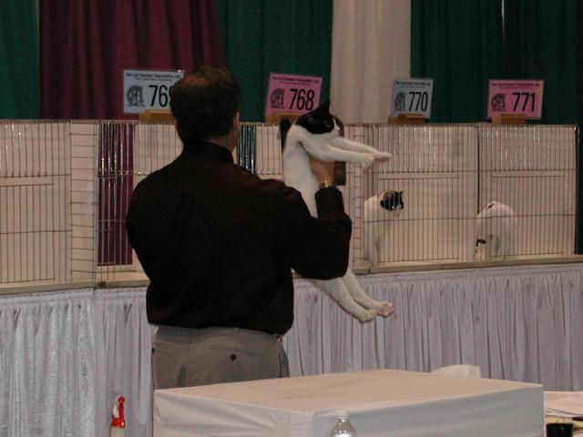 CFA Nationals 2002 - Houston, Texas
